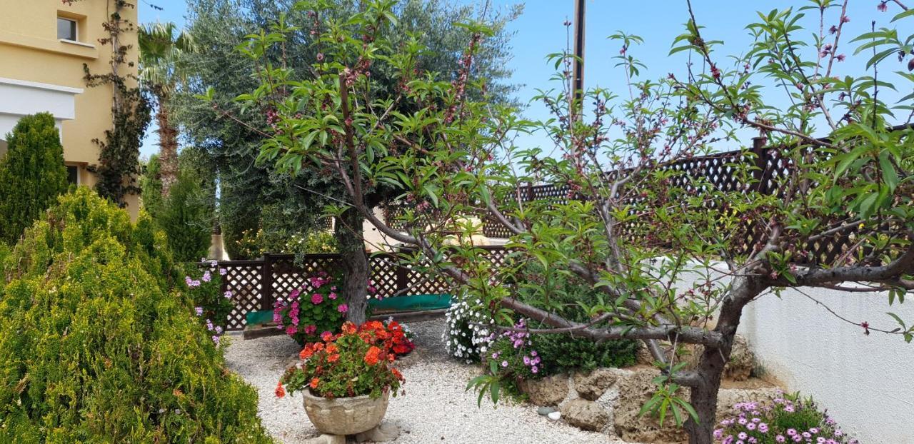 Villa Bimini Argaka Exteriör bild